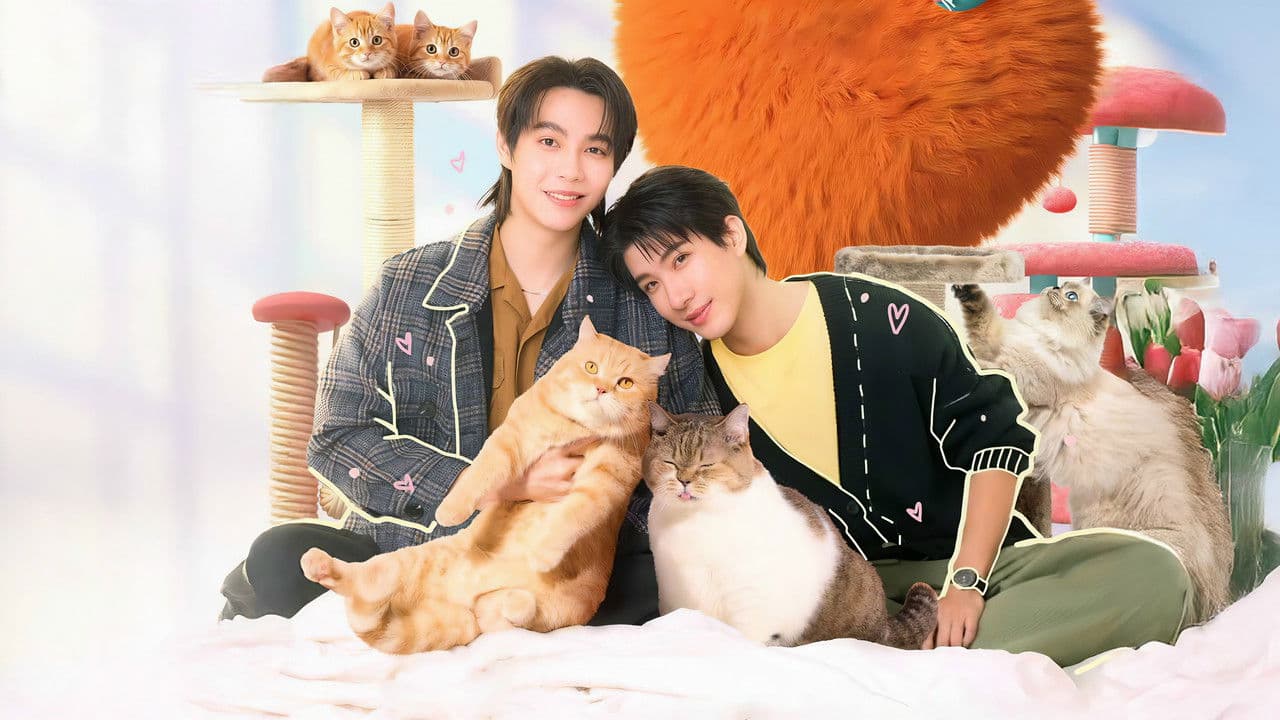 Backdrop phim Cat for Cash