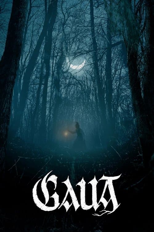 Poster phim Gaua (The Night) (2025)