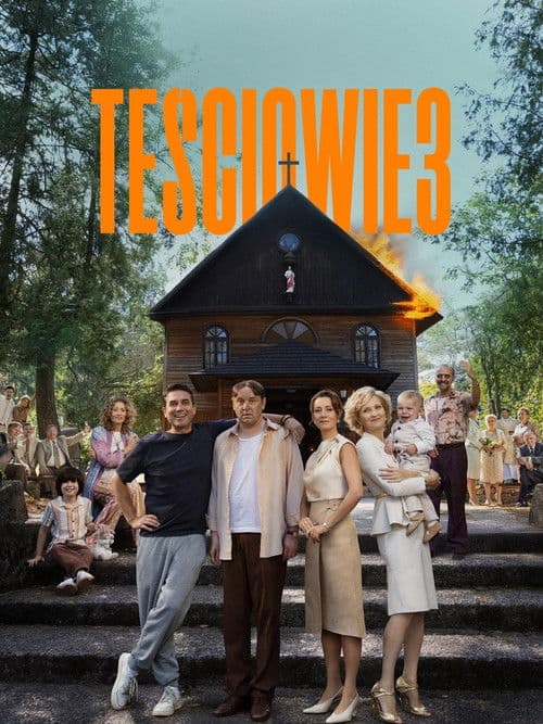 Poster phim The In-Laws 3 (2025)