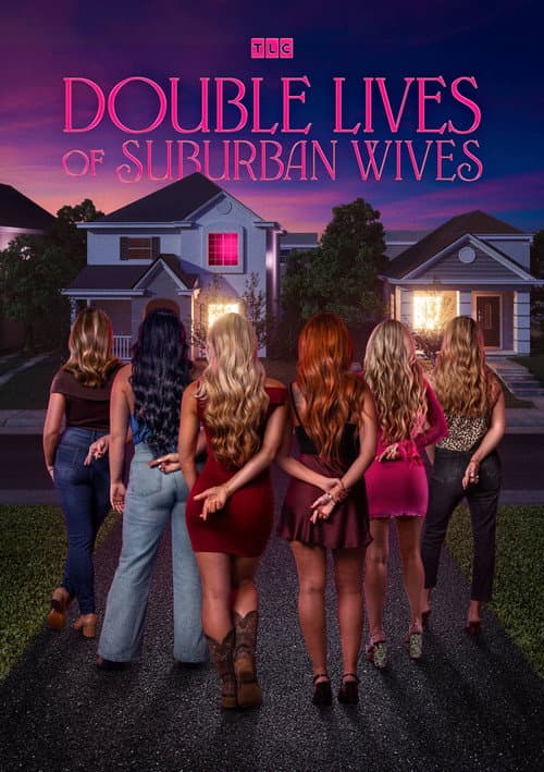 Poster phim Double Lives of Suburban Wives
