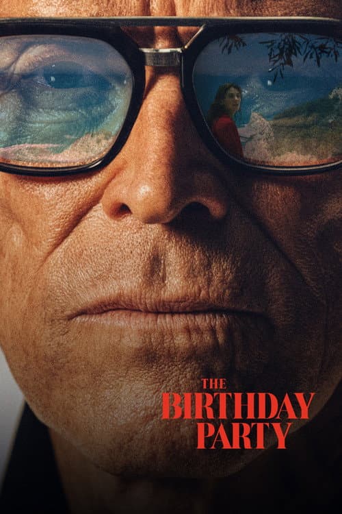 Poster phim The Birthday Party