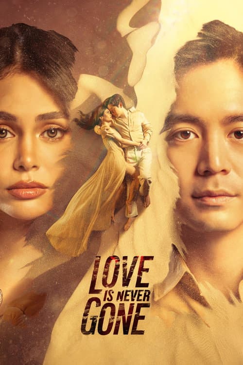 Poster phim Love Is Never Gone