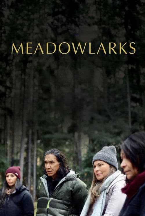 Poster phim Meadowlarks