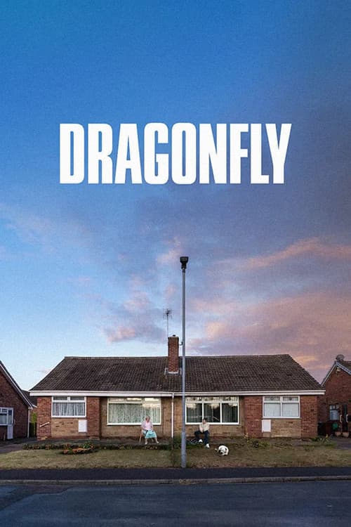 Poster phim Dragonfly (2025)