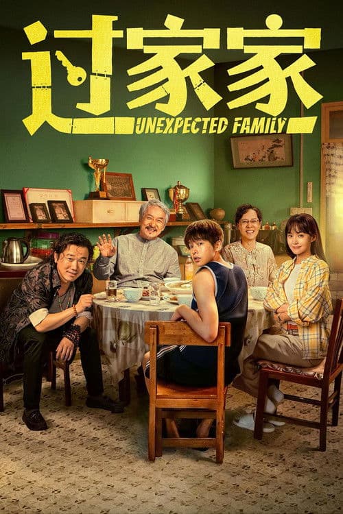 Poster phim Unexpected Family (2026)