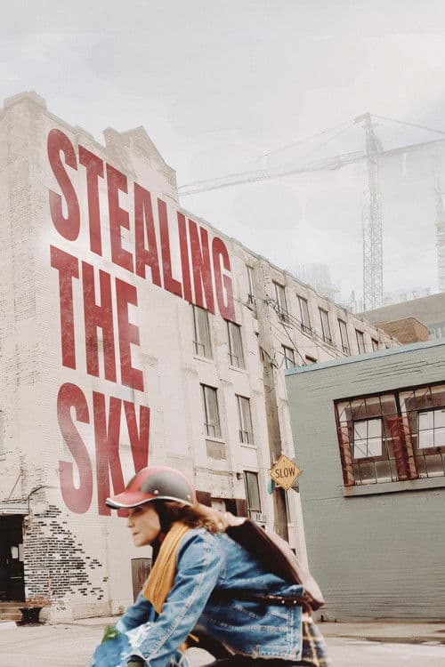 Poster phim Stealing the Sky