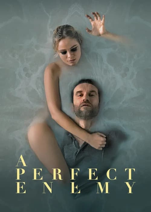 Poster phim A Perfect Enemy (2021)