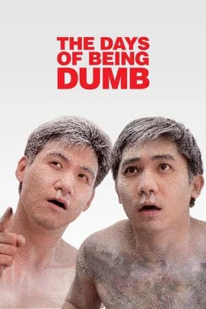 Poster phim A Phi Và A Kỳ (1992)