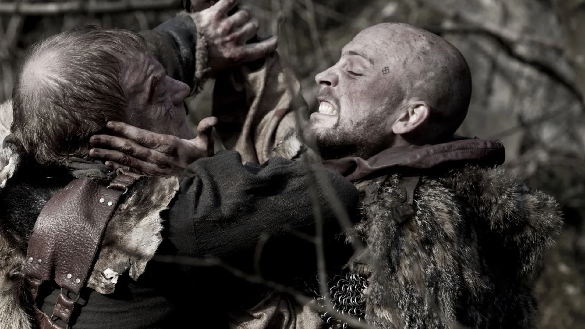 Backdrop phim A Viking Saga: The Darkest Day