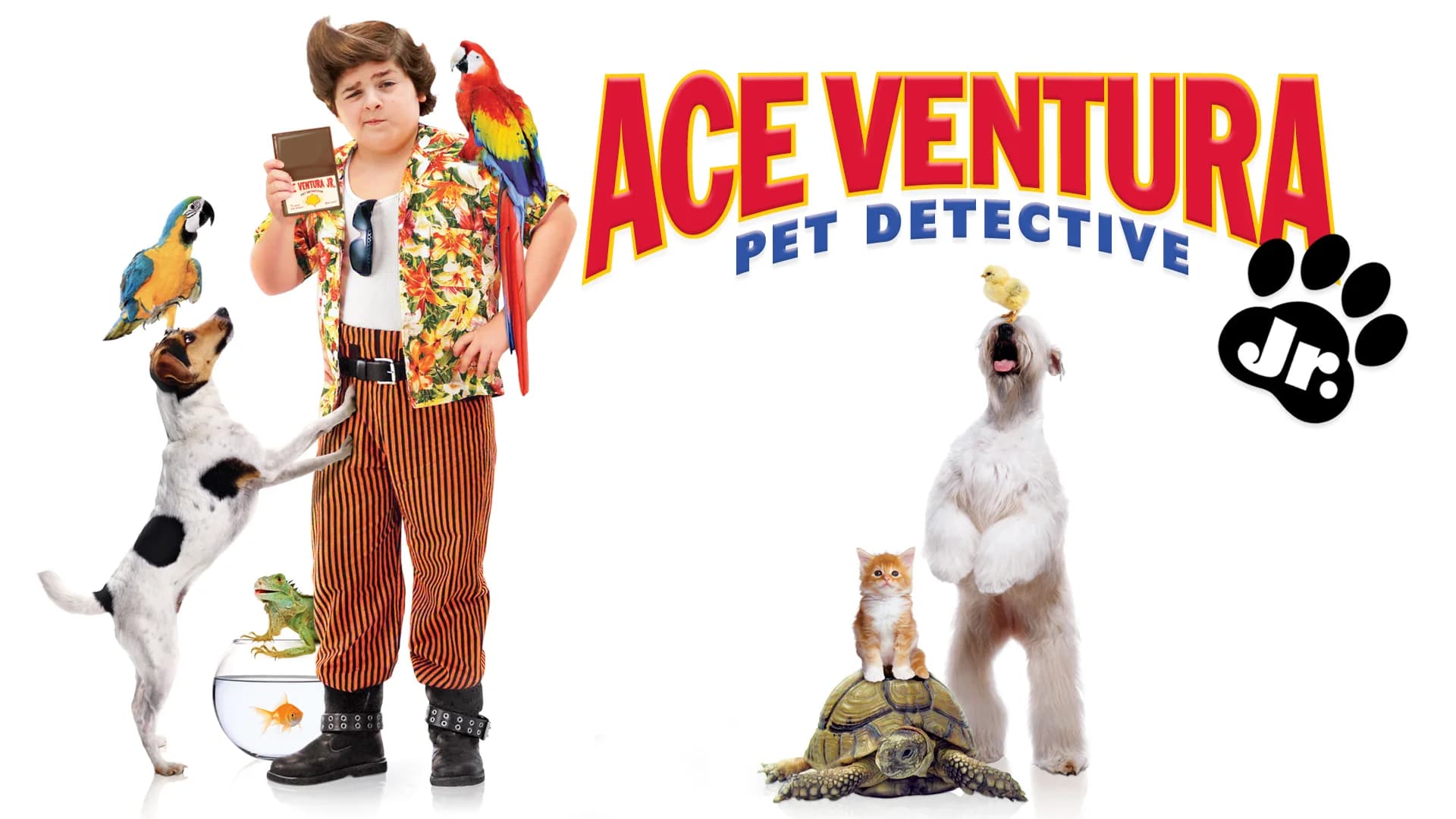 Backdrop phim Ace Ventura: Pet Detective Jr.