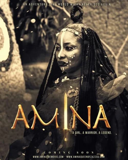 Poster phim Amina (2021)