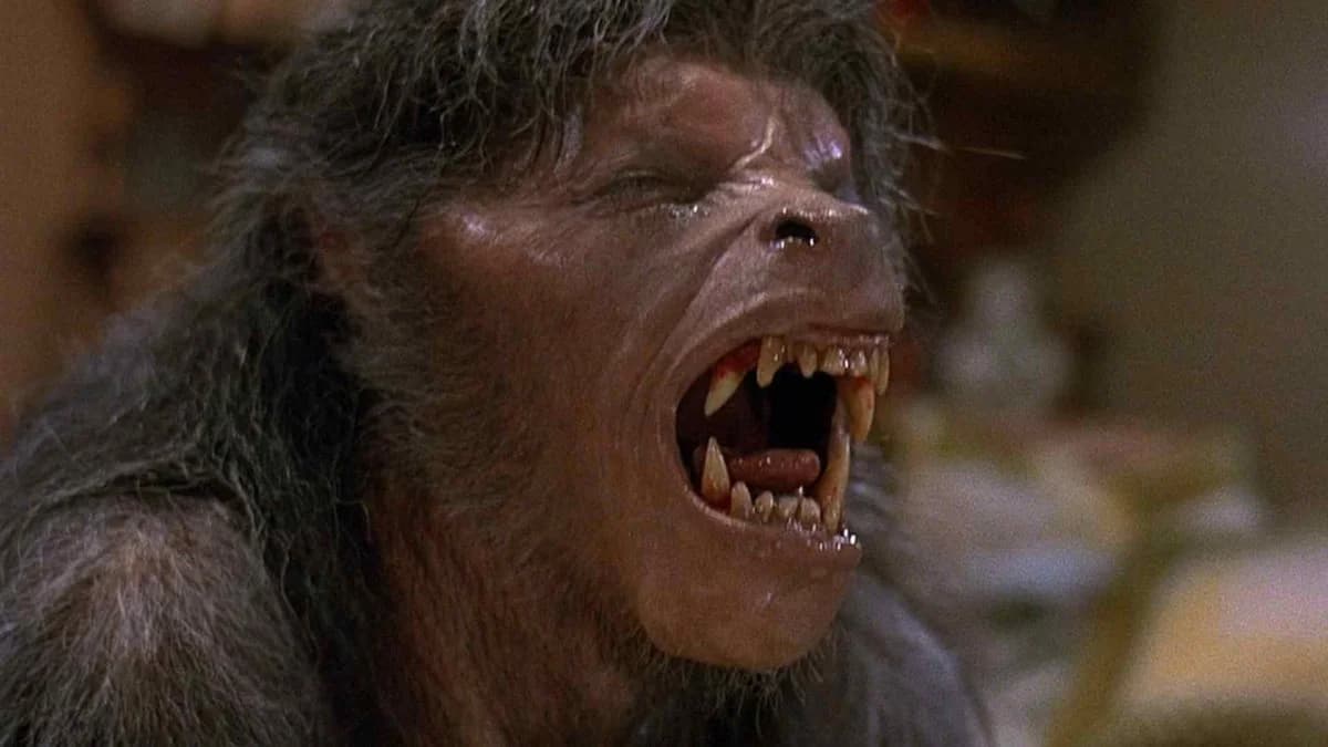 Backdrop phim An American Werewolf in London