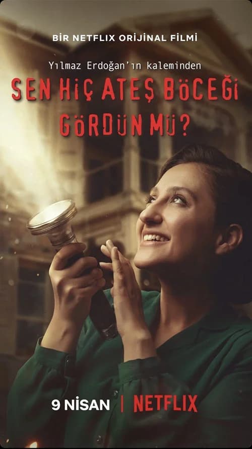 Poster phim Ánh sáng của đom đóm