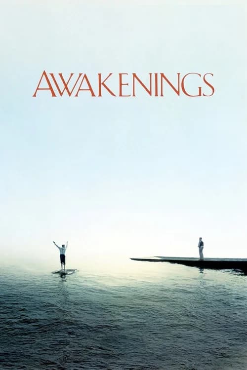 Poster phim Awakenings (1990)