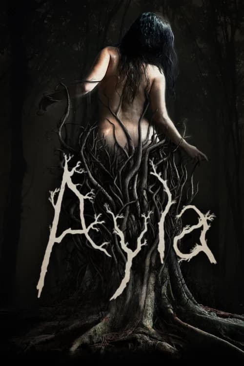 Poster phim Ayla (2017)