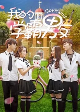 Poster phim Bạn trai mọt sách của tôi (2017)