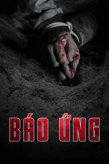 Poster phim Báo Ứng (2011)