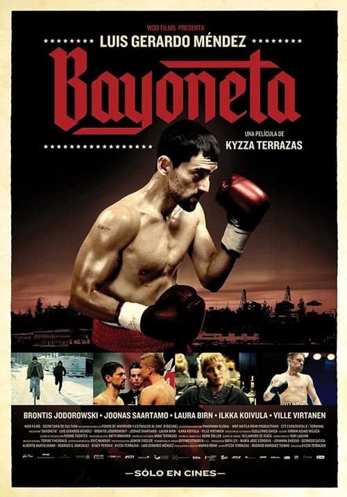 Poster phim Bayoneta: Trở lại võ đài