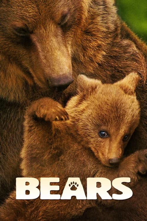Poster phim Bears (2014)