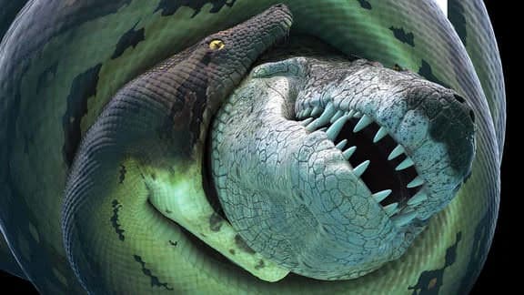 Backdrop phim Bí Ẩn Quái Vật Khổng Lồ Titanoboa