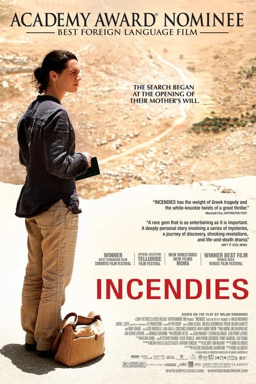 Poster phim Bí Mật Người Mẹ (2010)