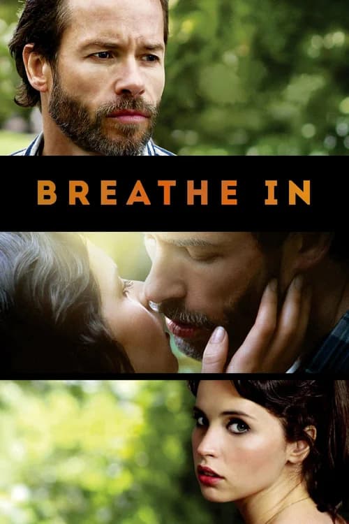 Poster phim Breathe In (2013)