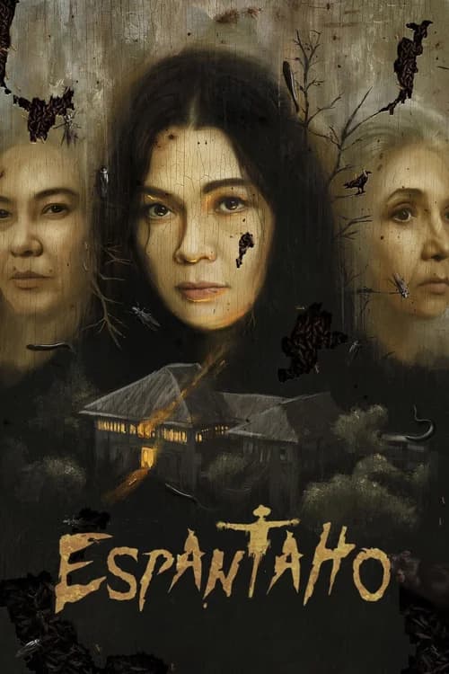 Poster phim Bù Nhìn (2025)