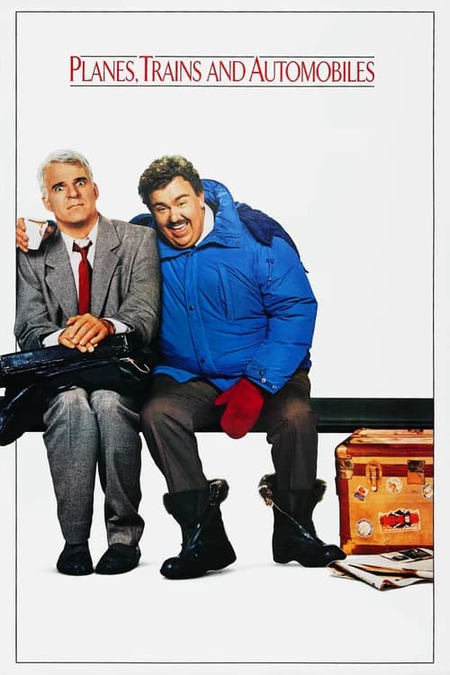 Poster phim Cặp Đôi Bất Đắc Dĩ (1987)