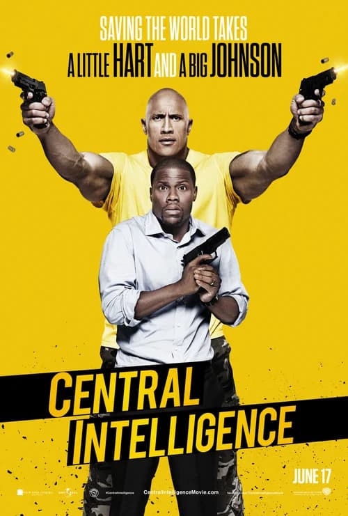 Poster phim Cặp đôi Gián điệp (2016)