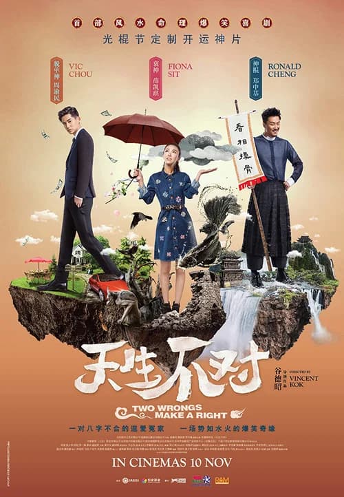 Poster phim Cặp Đôi Khắc Tinh (2017)