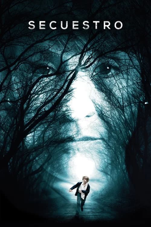 Poster phim Cậu Bé Mất Tích (2016)