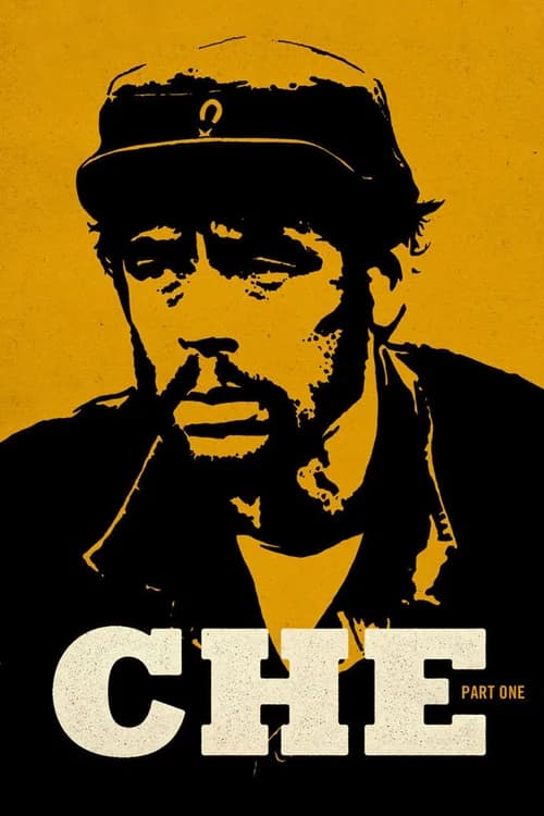 Poster phim Che: Part One (2008)