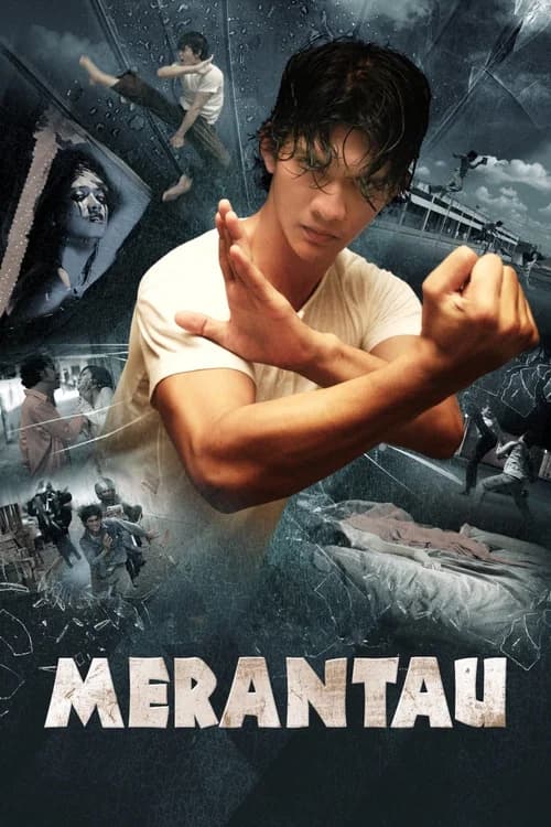 Poster phim Chiến Binh Merantau (2009)