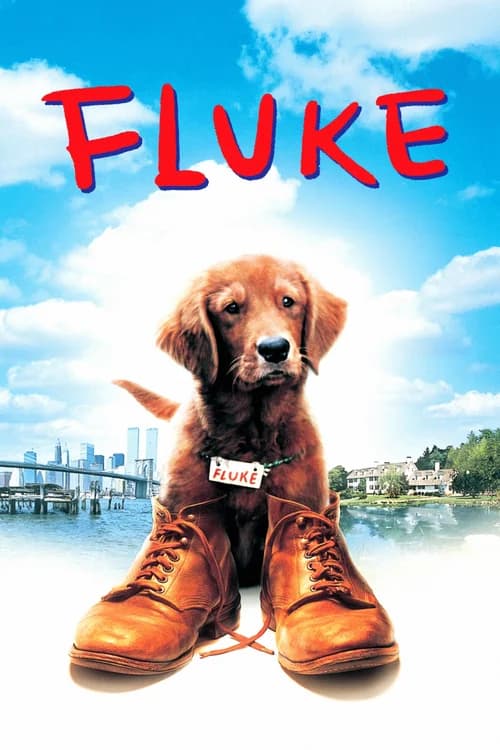 Poster phim Chú Chó Fluke (1995)