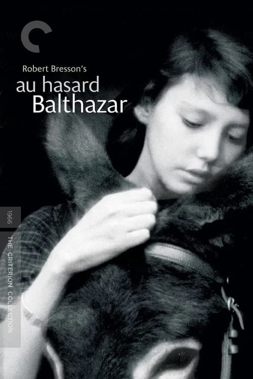 Poster phim Chú Lừa Balthazar (1966)
