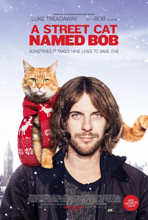 Poster phim Chú Mèo Đường Phố (2016)