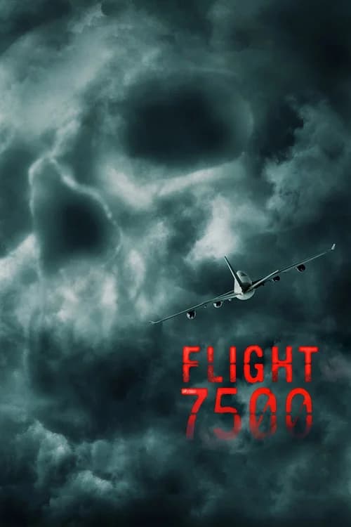 Poster phim Chuyến Bay VP7500 (2014)