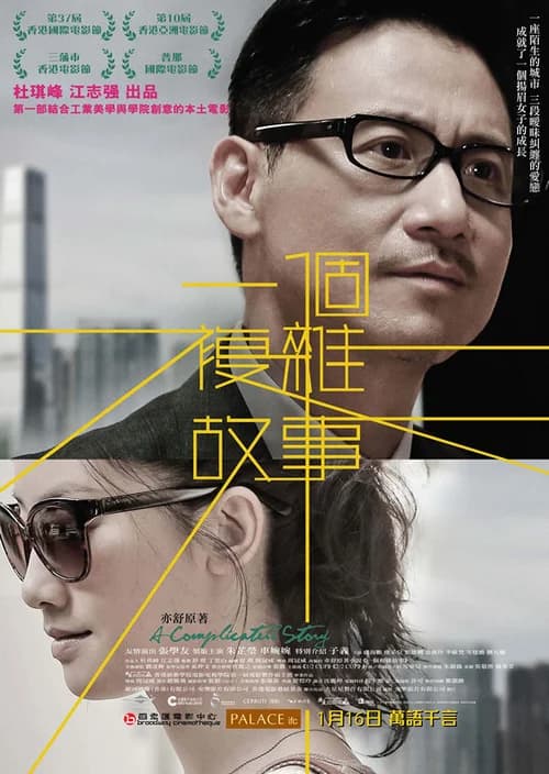 Poster phim Chuyện phức tạp (2013)