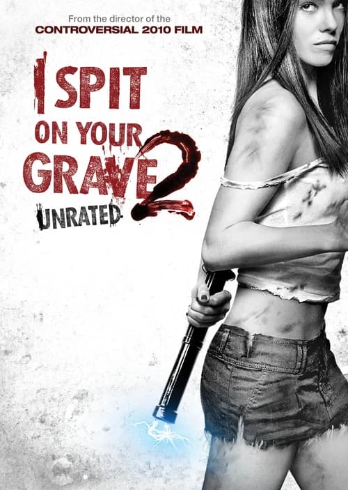 Poster phim Cô Gái Báo Thù 2 (2013)