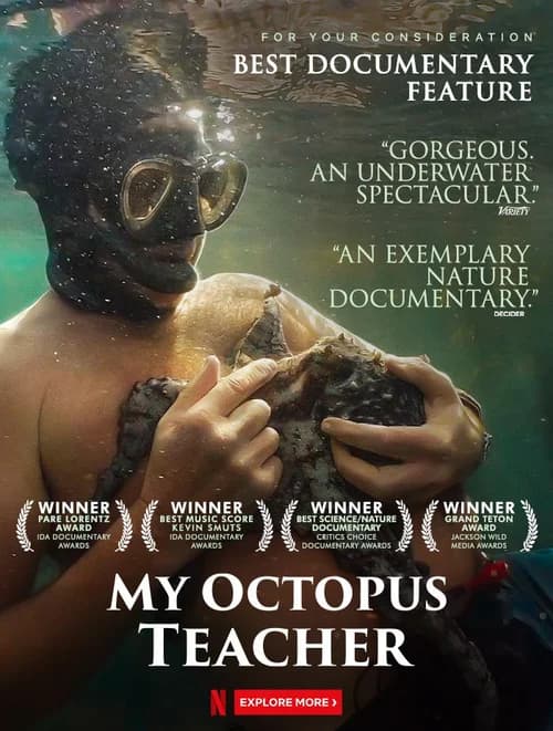Poster phim Cô giáo bạch tuộc (2020)