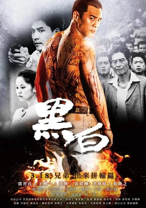 Poster phim Cuộc Chiến Không Cân Sức (2016)