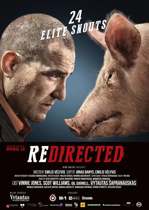 Poster phim Cuộc Phiêu Lưu Bất Đắc Dĩ (2014)