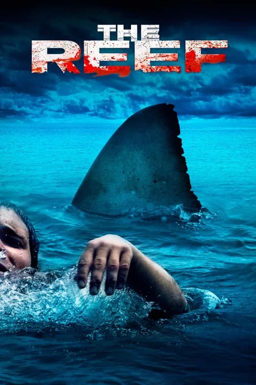 Poster phim Đá Ngầm (2010)
