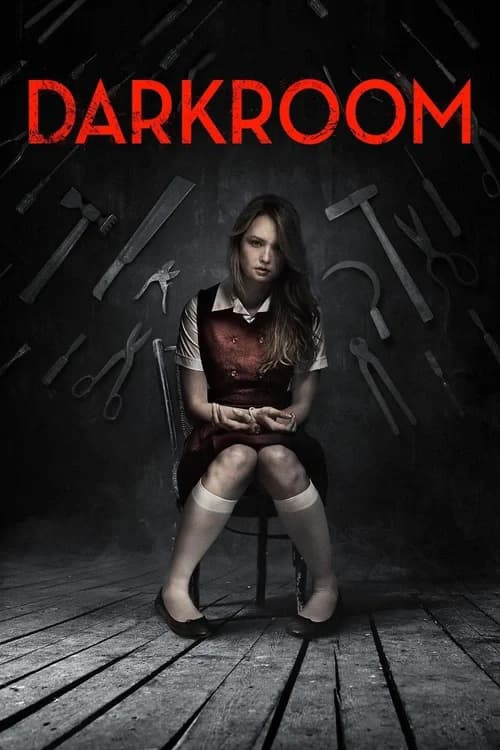 Poster phim Darkroom (2013)