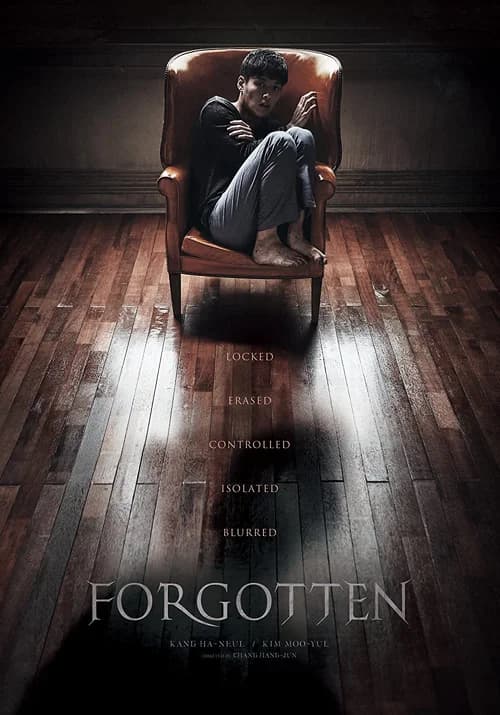 Poster phim Đêm ký ức (2017)