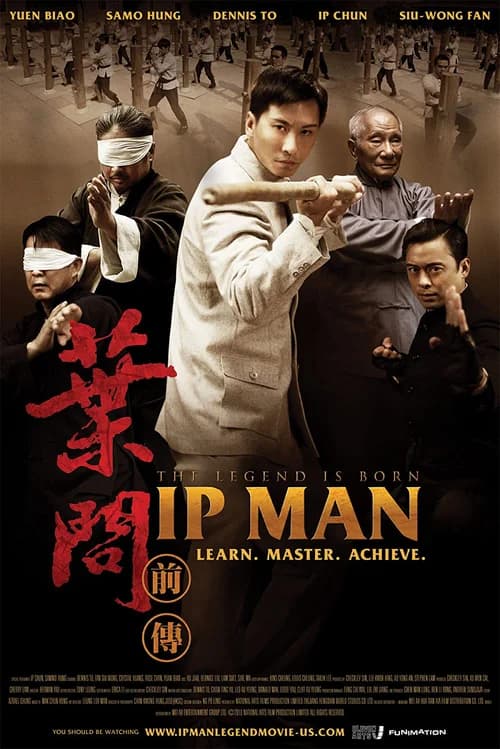 Poster phim Diệp Vấn Tiền Truyện (2010)