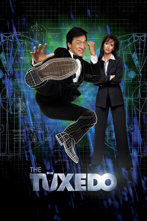 Poster phim Điệp Viên Bất Đắc Dĩ (2002)