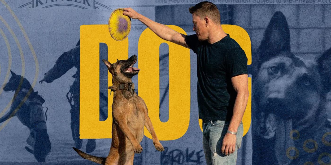 Backdrop phim Dog