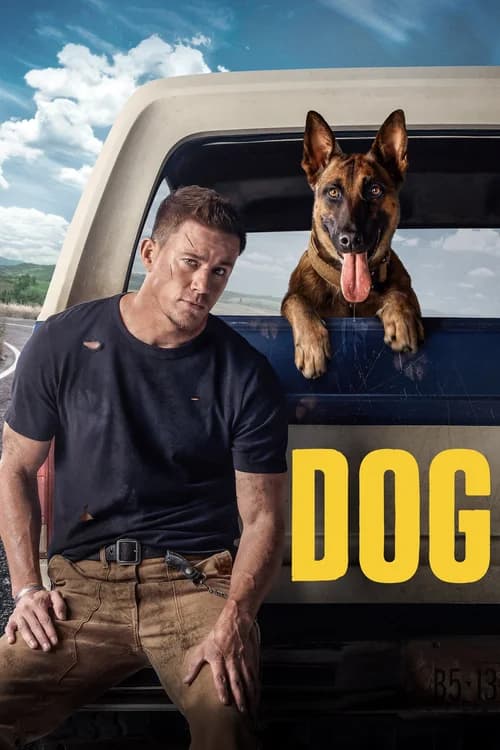 Poster phim Dog (2022)