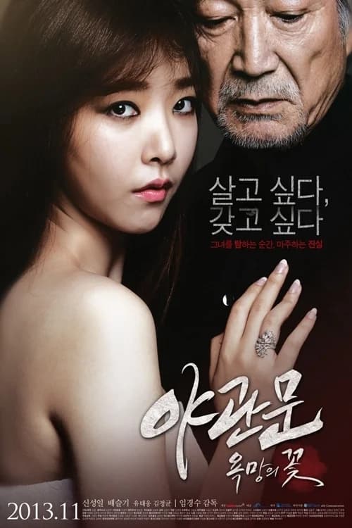 Poster phim Door to the Night (2013)